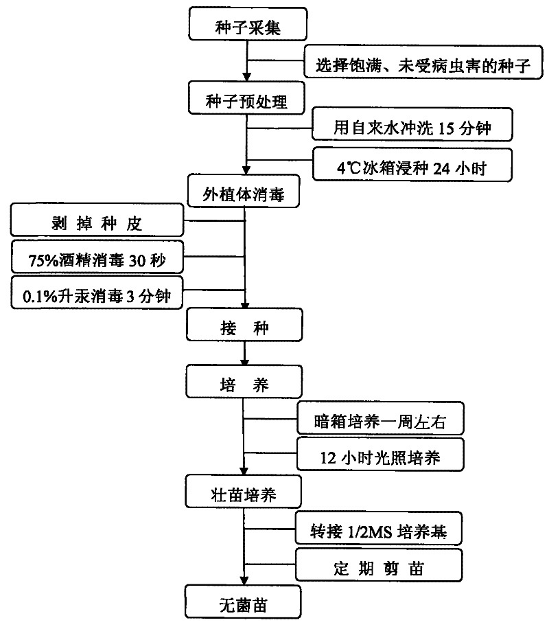 学龄前幼儿不适宜的运动-开元棋牌电脑版(图2) 开元棋牌官方下载
