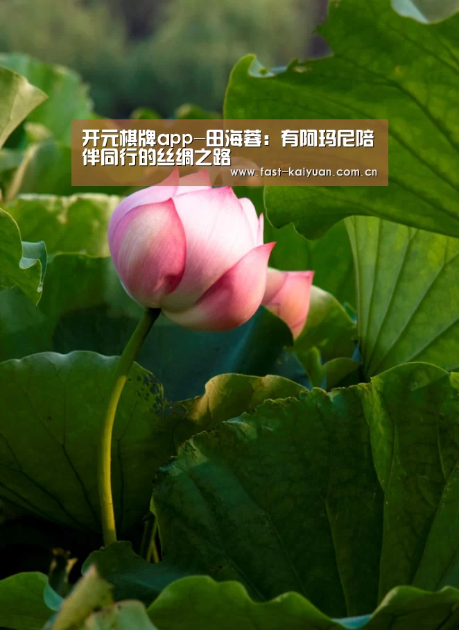 开元棋牌app-田海蓉:有阿玛尼陪伴同行的丝绸之路(图1) 开元棋牌官方下载